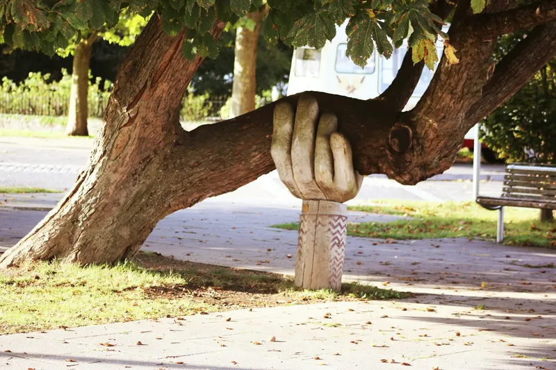 A carved wooden hand supporting the branch of a leaning tree